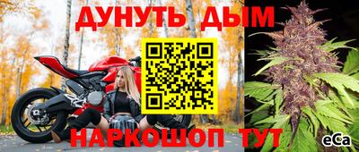 PSILOCYBIN Бугуруслан