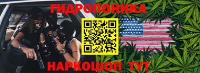 PSILOCYBIN Бугуруслан